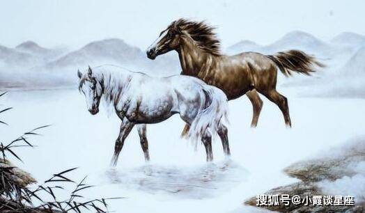 揭秘无德无能打一生肖，如何选择并落实正确的生肖配对策略