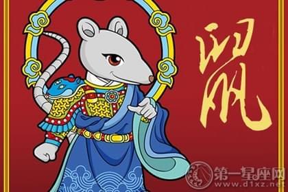 揭秘鼠边生肖之谜，谁来落实解答的智慧之旅