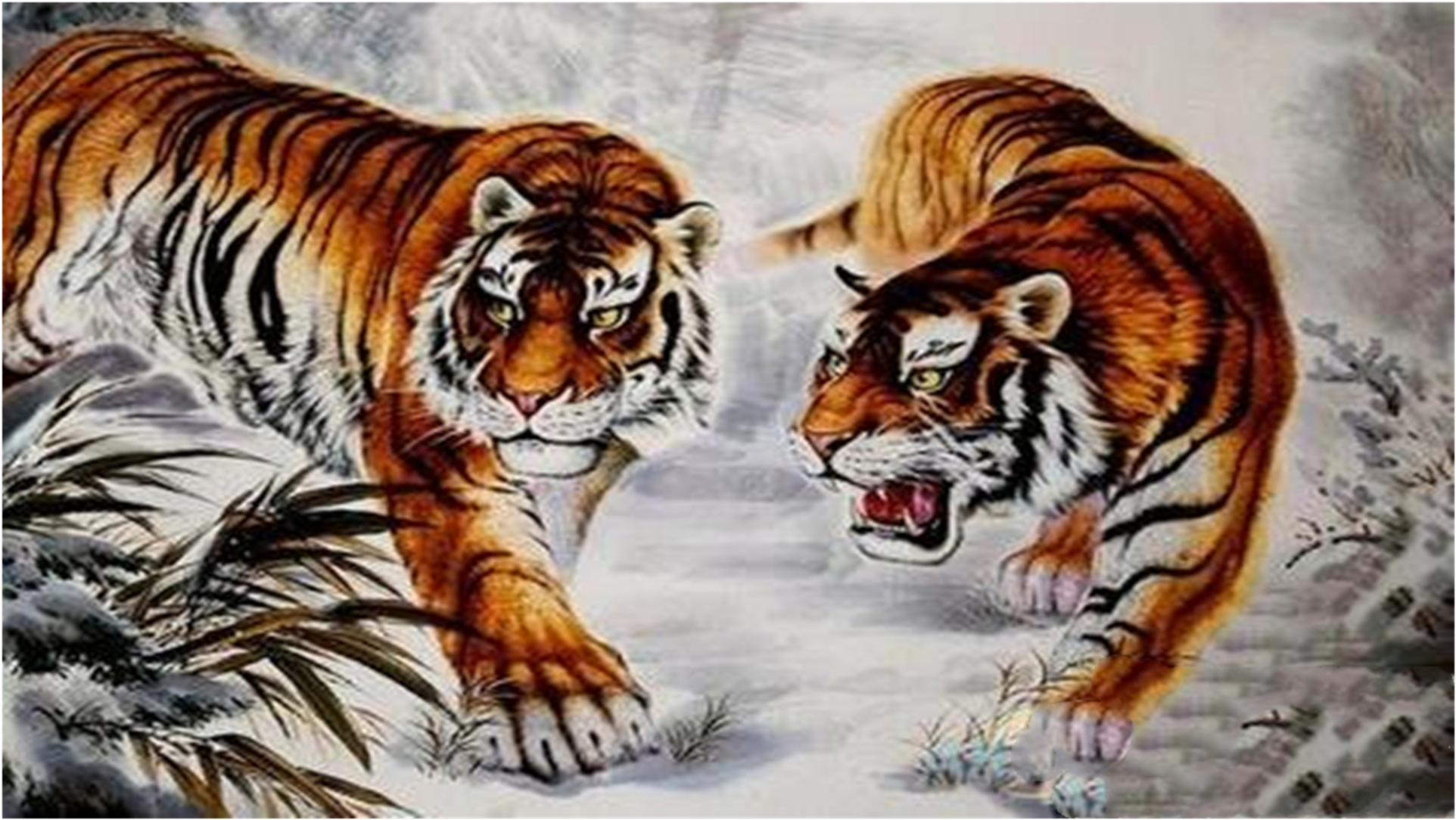 龙虎相争打一生肖动物、绝佳解释落实 龙虎相争打一生肖动物、绝佳解释落实