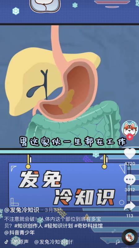 谜语探秘，关蛇打狗与生肖的奇妙联系