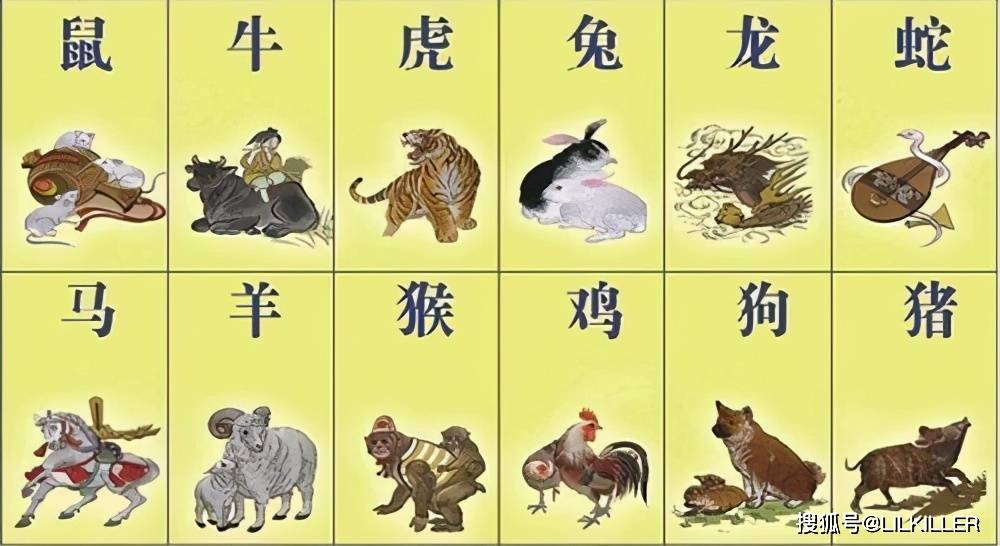 挂历打一生肖动物、积极解释落实