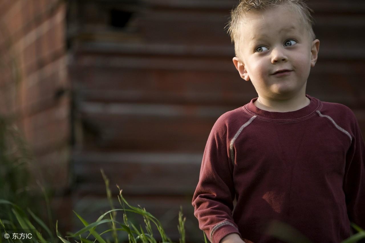 欲字打一生肖、选择解释落实