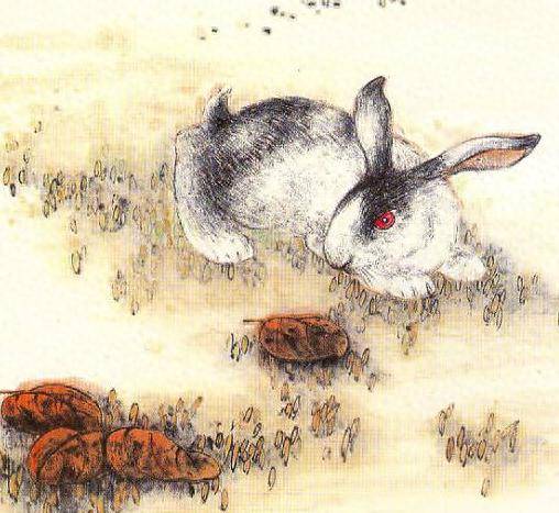 心如止水，生肖之兔的动物智慧与战略运用