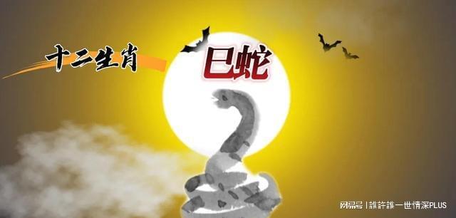 黑夜有白日打一生肖、采民作答落实解释