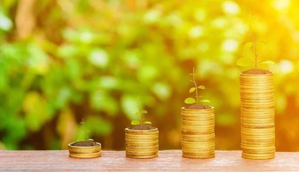 固若金汤与生肖之谜，一场智慧与信任的较量