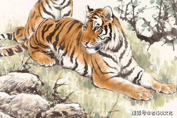 胆大包天打一生肖动物、成就解释落实