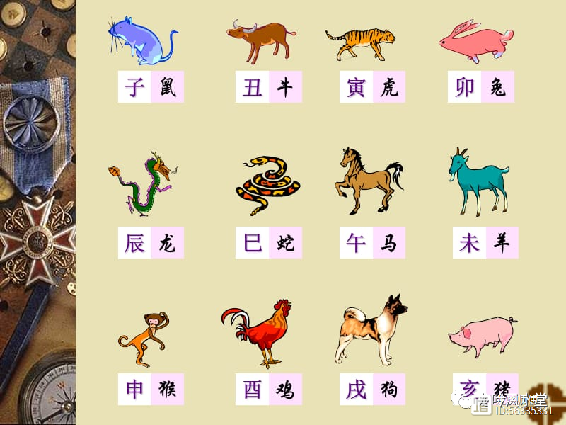 眉飞色舞打一生肖动物—采民作答落实解释 眉飞色舞打一生肖动物—采民作答落实解释