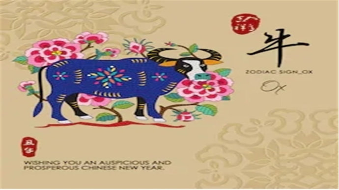 天天向上打一生肖，探索生肖中的进取精神