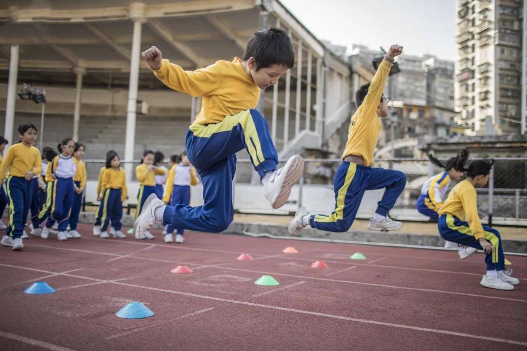 今期生肖震九洲打一肖、精选解析与落实的详细结果