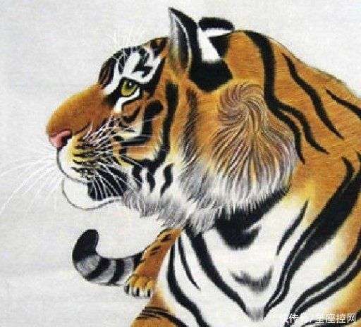 独善吾身打一生肖、揭秘如何选择并落实正确的