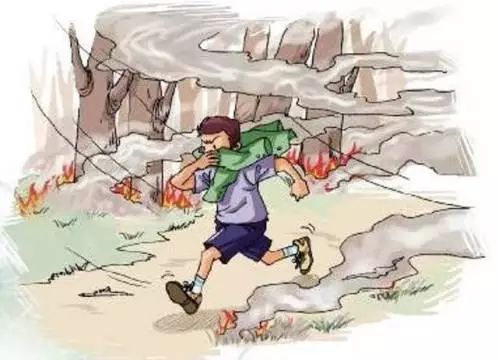 万古留芳，生肖之谜与责任落实的深思