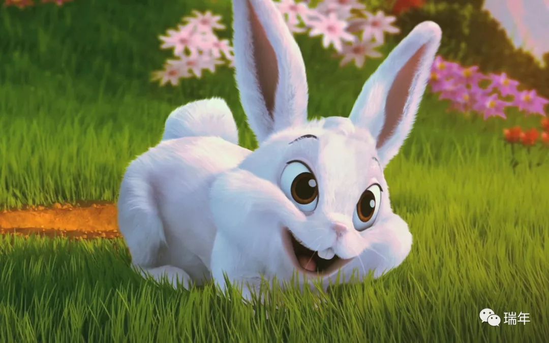 青青草地上的生肖之谜，兔子的自由奔跑与信任的落实