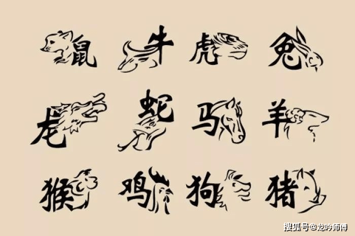 冲字打一生肖，揭秘背后的文化与智慧