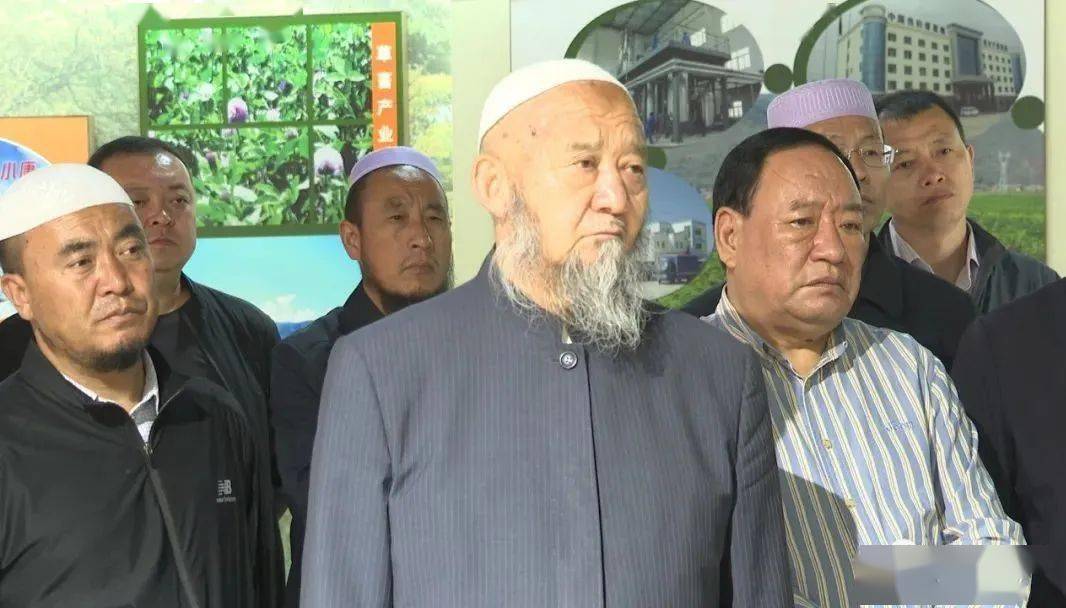 寿打一生肖，深度解析与落实