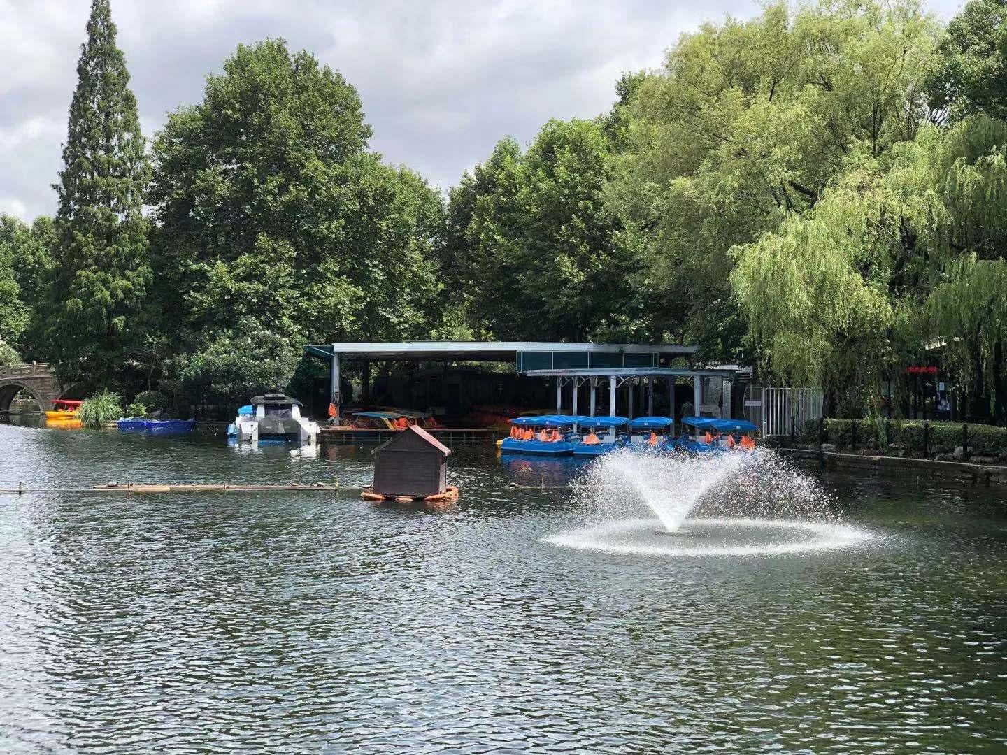 湖中涌泉打一生肖、的精准解答与落实精神