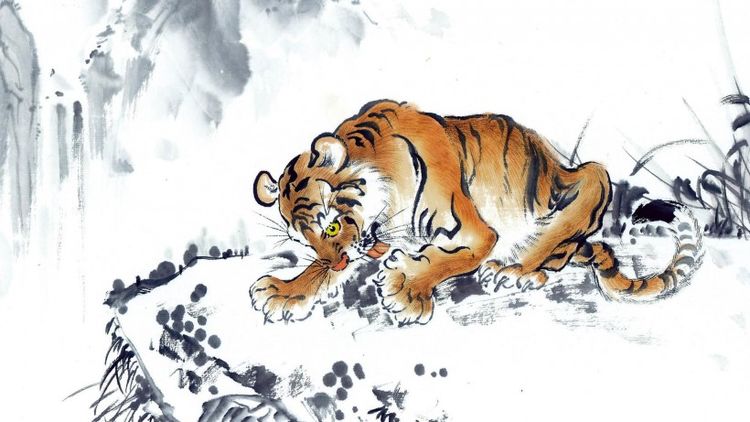 出家人与生肖之谜，以虎为喻，谈修行与解脱