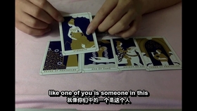 恩仇打一生肖，深度解析与现实启示