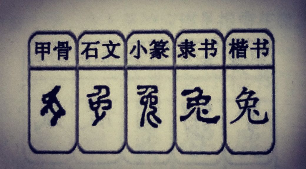 缎字打一生肖、谁来落实解答？