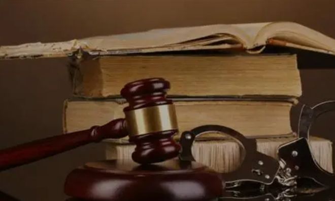 酱打一生肖，一场关于真相、解释与落实的深度探索