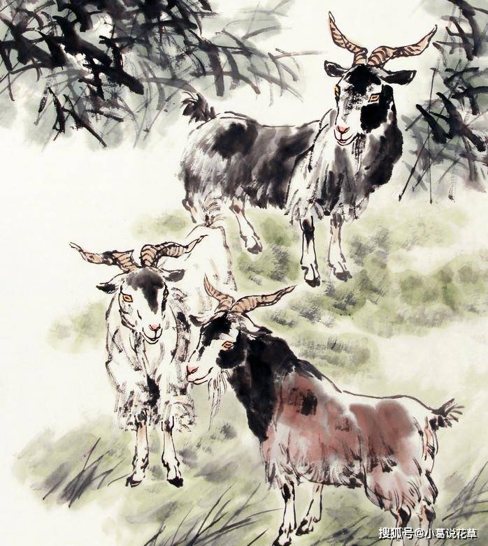 皮痒是吧打一生肖，友爱作答与文化寓意的深度解析