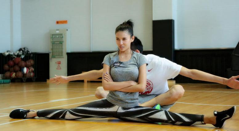 男子汉打一生肖，社会进步与文化解析的深度探讨