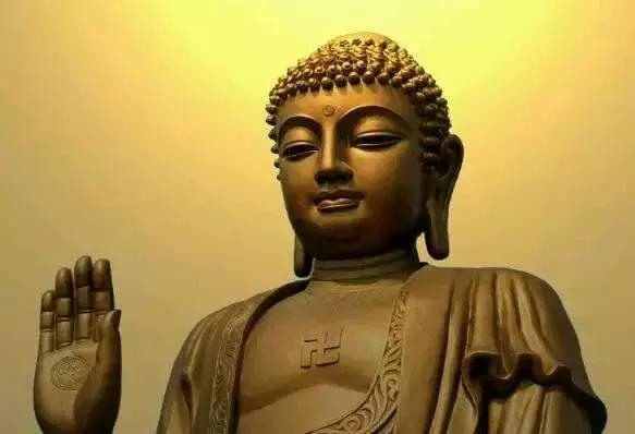 钞票打一生肖、深度解析与落实