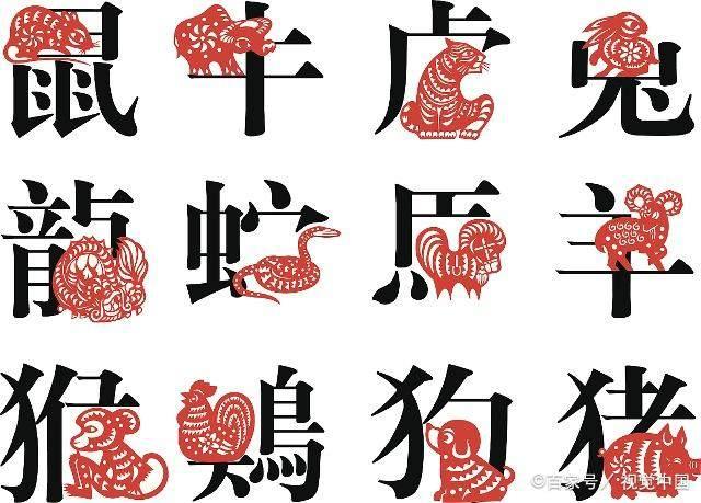 天涯若比邻的什么动物打一生肖、的社会进步与文化解析