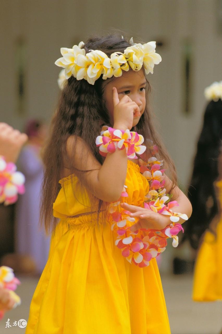 欢天喜地打一生肖，揭秘背后的文化与智慧