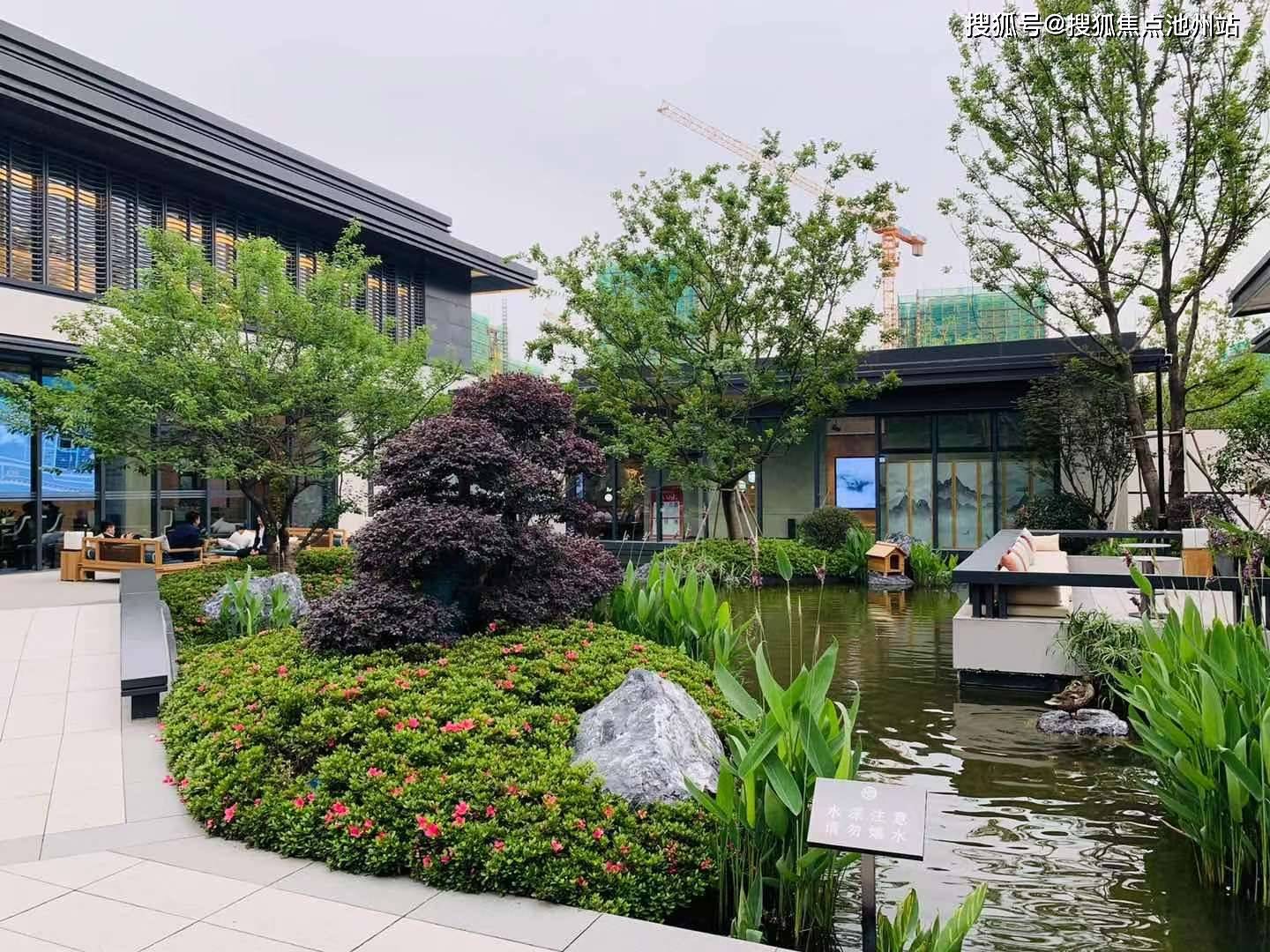 今期必中包公打一生肖、团结解释落实 今期必中包公打一生肖、团结解释落实