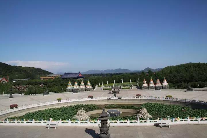 极乐世界打一生肖、的动物智慧与战略运用