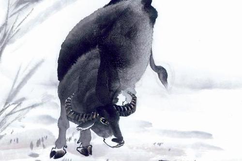 志高无上打一生肖,探寻生肖背后的深层含义 志高无上打一生肖,探寻生肖背后的深层含义