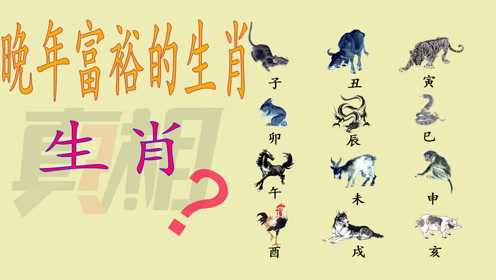 毛打一生肖、绝佳解释落实