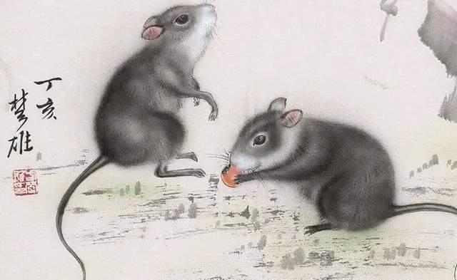 包羞忍耻打一生肖，智慧与勇气的生肖—鼠