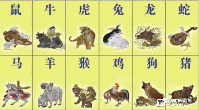 一码惊人打一生肖、词语的深层释义与文化解读