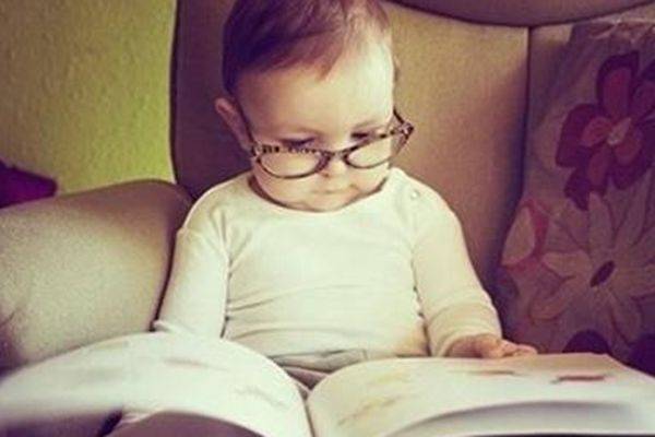 看书打一生肖，探寻智慧之光的生肖谜题