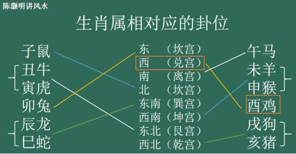 家中物打一生肖，解析与作答的趣味探索