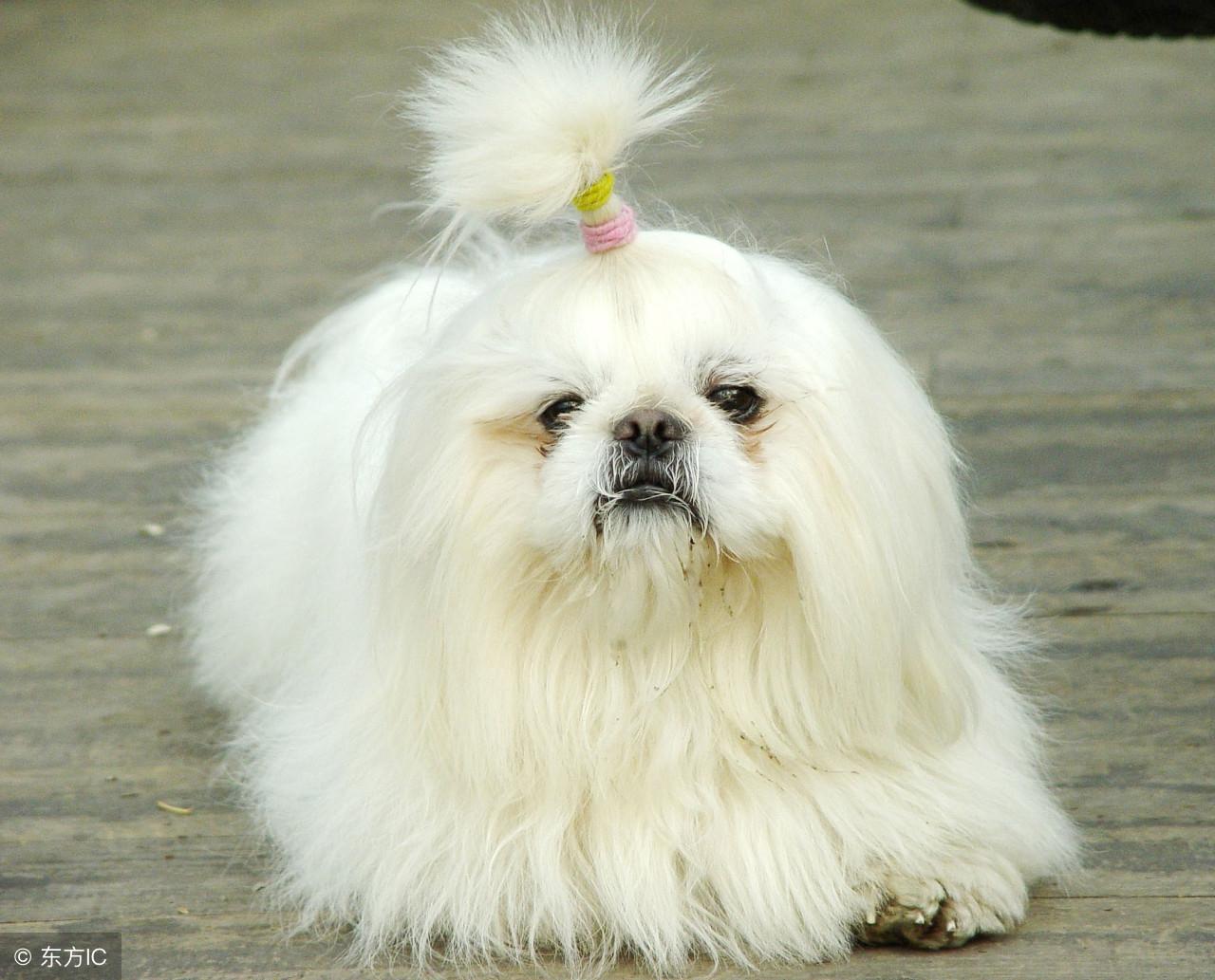 赶打一个生肖，谁来落实解答？