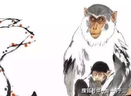 大方不惭的智慧，生肖中的不安分之选—以猴为例