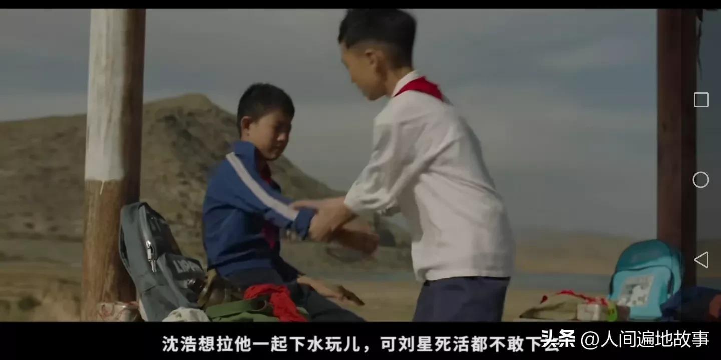 傻呆呆打一生肖，词语的深层释义与文化解读