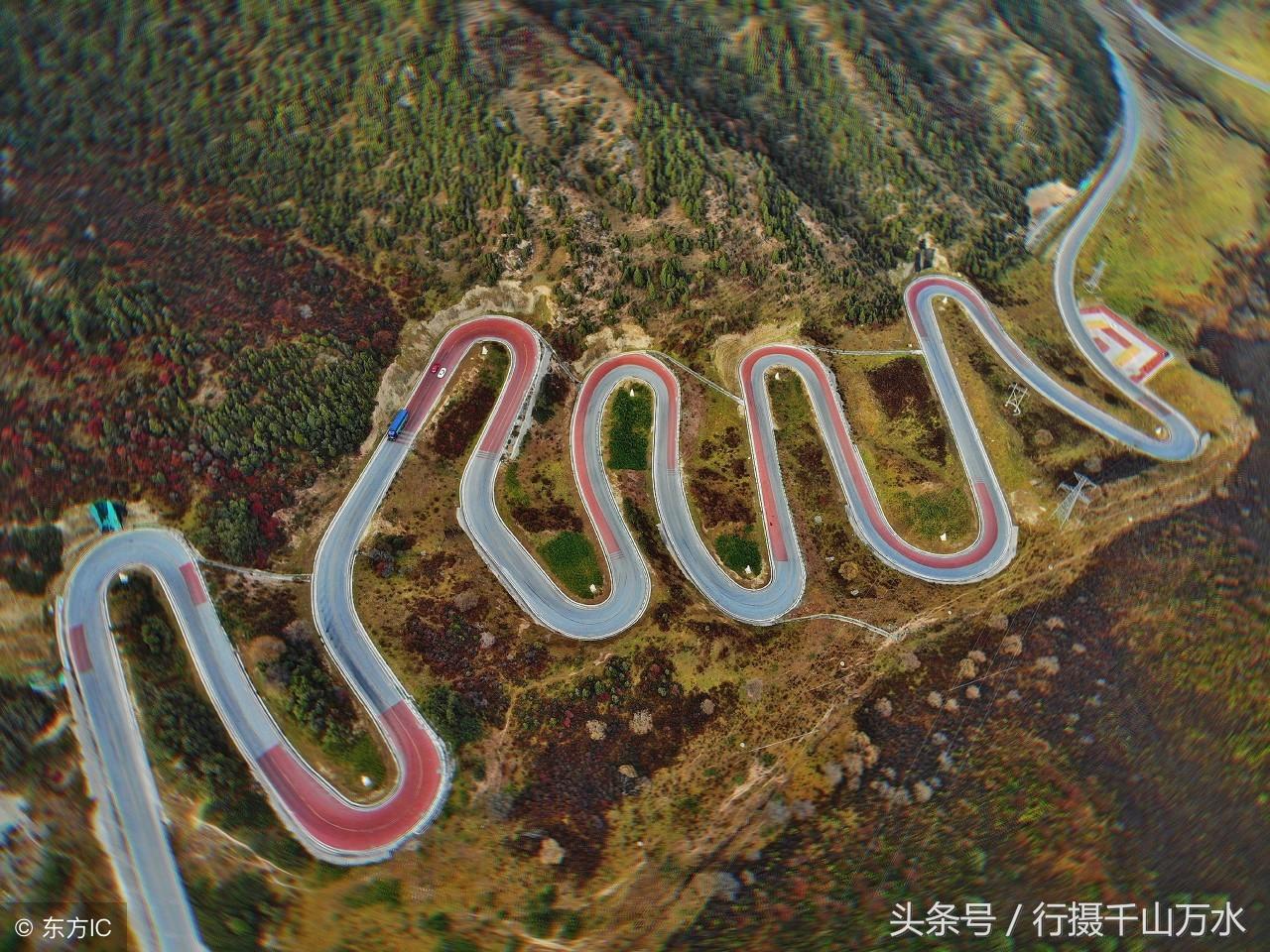 索打一生肖，深度解析与文化寓意