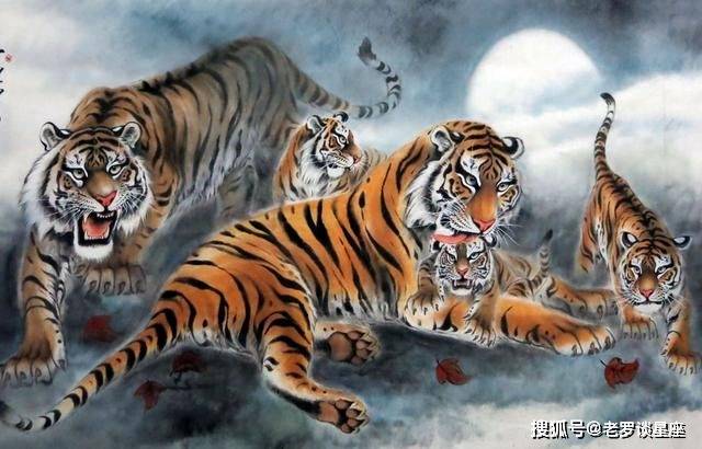 谜团渐解，揭秘反复无常的生肖