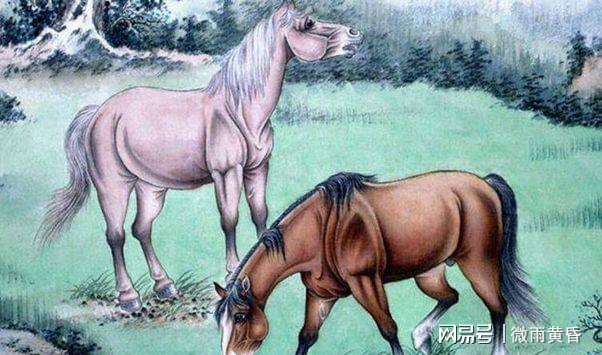 迷离马虎打一生肖、背后的智慧与哲理 迷离马虎打一生肖、背后的智慧与哲理