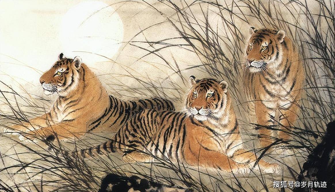 起早贪黑的动物打一生肖、深度解析与文化寓意