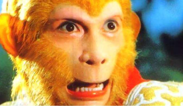 花果山大王打一生肖、正确解释与落实