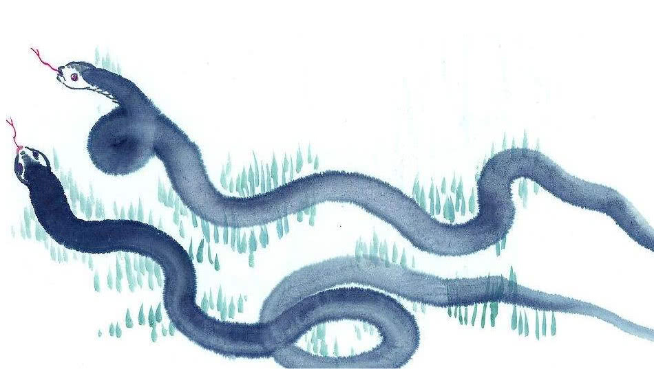 驱羊战蛇打一生肖，解密与启示