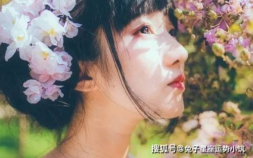 相思泪一打一生肖，深度解析与落实