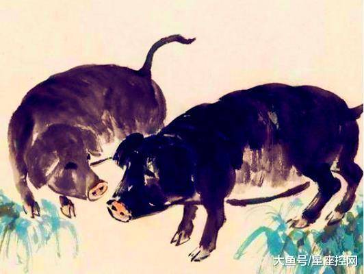 解析与生肖揭秘，一场关于蹄打一生肖的智慧较量