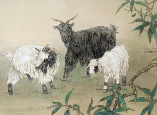 揭秘五花八门背后的生肖寓意,羊的独特魅力与全面解读 揭秘五花八门背后的生肖寓意,羊的独特魅力与全面解读