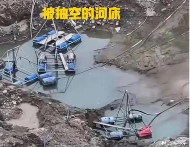 水淹龙王庙打一生肖、采民作答落实解释