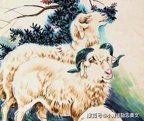 傲然屹立，生肖中的非凡解释与落实